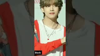 our tiger  tae vb