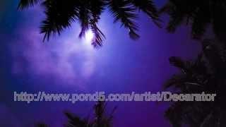 Moon and Palms Tree / Professional stock video footage