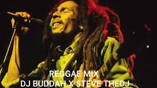 REGGAE MIX 2021- MIXED BY  DJ BUDDAH X STEVE THEDJ- Best Reggae Mix