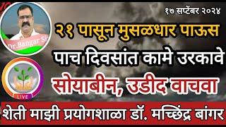 २१ पासून सप्टेंबर मध्ये  मुसळधार पाऊस। पाच दिवसांत कामे उरका। #डॉ_मच्छिंद्र_बांगर