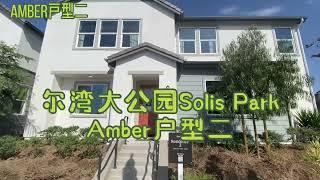 尔湾大公园Solis Park新盘Amber户型二