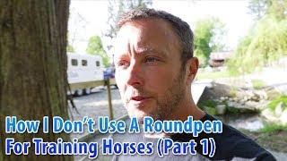 How I Don't Use A Roundpen For Horse Training (Part 1)