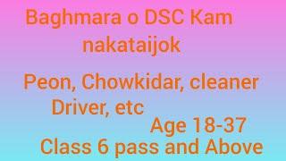 class 6 pass and Above,,peon , Chowkidar, cleaner, tracer etc ,,DSC Baghmara...