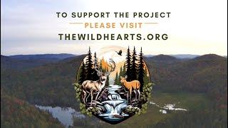 The Wild Hearts Animal Sanctuary Project Presentation.