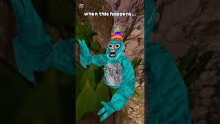 when this happens #gorillatag #ghost #vr