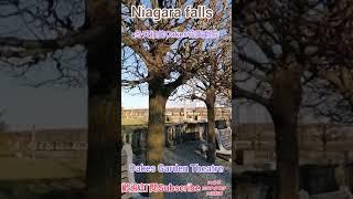 ＃Ivy分享生活點滴＃Niagara falls #加拿大多倫多＃ Canada Toronto Vlog #Shorts Winter Oakes Garden Theatre冬天裡Oakes 花園