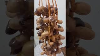 dates fruits #datesfruits #asmr #short #dates #fruits