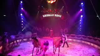 Circus Herman Renz  Hans Suppmeier-Horses act!