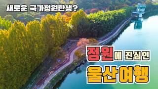 울산의 새로운 가을 명소의 탄생 태화강 그라스 정원  울산 당일치기 여행  가을꽃내음정원 풀꽃강정원 태화강전망대 태화강동굴피아 울산 남구 여행