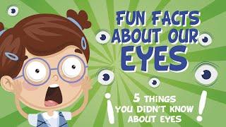 5 things you didn’t know about eyes  | Educational Videos For Kids