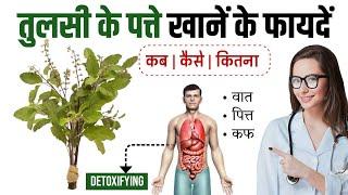 Tulsi Khane Ke Fayde,(तुलसी के पत्ते के फायदे और नुकसान),Benefits of Basil Leaf