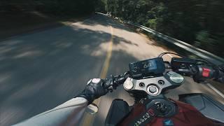 2021 HONDA CB650R - Ride in the woods [whit clip on - a2 license 35kw -4K]