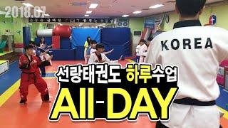 [선랑태권도] 태권도장 하루일과 All DAY