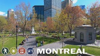 Montreal City Walk - Downtown Streets May 2021 - Montreal Canada Walking Tour