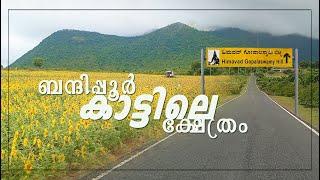 ഗുണ്ടല്‍പേട്ടിലെ കാഴ്ചകളും ഗോപാലസ്വാമി ക്ഷേത്രവും  | Gundlupet  | കറക്ക് കമ്പനി  | KARAKKU COMPANY