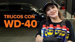 TOP 6 de trucos con WD-40 | Consejos de AUTODOC