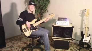 Avatar B210 Bass Guitar Speaker Cabinet Demo Eminence Delta Pro 10 LF