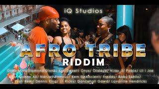 Afro Tribe Riddim Medley Official Video