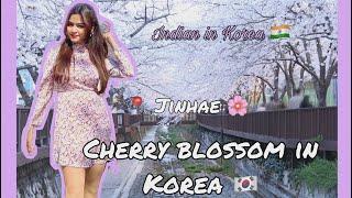 KOREA VLOG: CHERRY BLOSSOM\ JINHAE TRIP WITH FRIENDS\ @yesstyle  CRUELTY FREE SKINCARE PRODUCTS