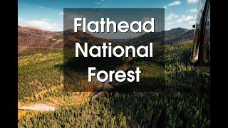 Exploring the Wonders of Flathead National Forest