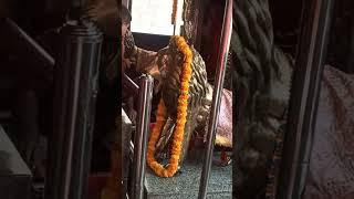 Jay Vaishno Mata #Suman pandita#