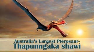 Australia's Largest Pterosaur- Thapunngaka shawi