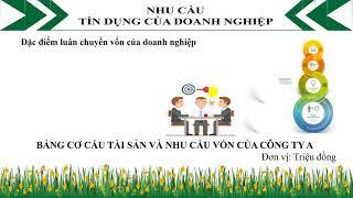 Nghiệp vụ ngân hàng thương mại  [Luân chuyển vốn và sự hình thành nhu cầu tín dụng của doanh nghiệp]