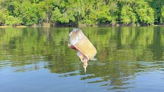 DESAFIEI MEU CAMARAMAN A PEGAR UM GIGANTE, QUASE DEU ERRADO