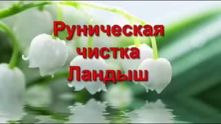 Руническая чистка Ландыш Чистка рунами