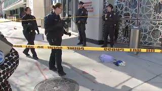 Suspect in custody after deadly stabbing rampage in Manhattan