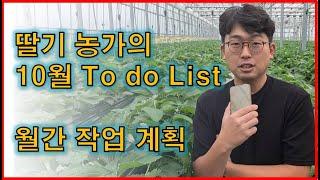 [10월 월간계획] 딸기농가의 10월 To do list.