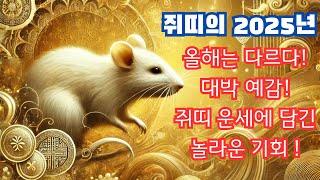 쥐띠의 2025년 올해는 다르다! 대박 예감! 쥐띠 운세에 담긴 놀라운 기회!