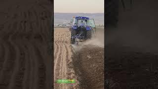 #nusaybin #mardin #mesopotamia #history #grain #farming #landwirtschaft #2025shorts #farming