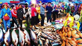 Food Rural TV, Early Morning Fish Market Scene - Daily Lifestyle of Vendors Buying Fish, Seafood