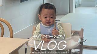 vlog | 제법 귀여운 8개월차 아기 일상