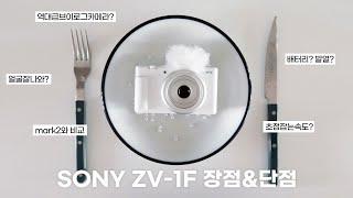 브이로그카메라 소니 ZV-1F 리뷰 | 2개월 사용 장점 & 단점 | 얼굴 예쁘게 나오는 카메라 비교 캐논 g7x mark2 vs 아이폰11pro 