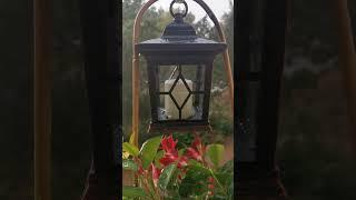#비소리 #비소리asmr #rain #asmr  #rainsounds #백색소음 #수면유도 #relaxing
