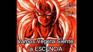 VEGETA SIENTE LA ESENCIA