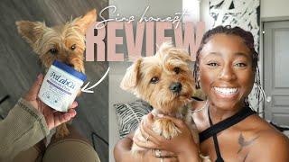 We Tried PetLab Co.‘s Viral Probiotic Chews For Dogs… Here’s What We Think | Adira Kalon (ft. Sir)