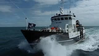 Νέο Σκάφος! Το Sea Eagle Γίνεται Μέλος του Στόλου των Sea Shepherd!