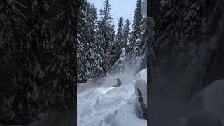 Deep snow! #shorts