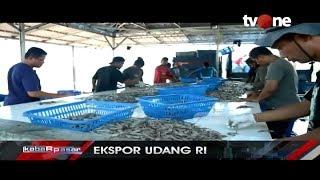 Indonesia Duduki Peringkat ke-4 Eksportir Udang Dunia