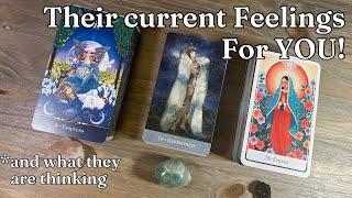 ️‍ Their CURRENT FEELINGS for You!?  Pick A Card Love Tarot Reading *DETAILED *TIMELESS