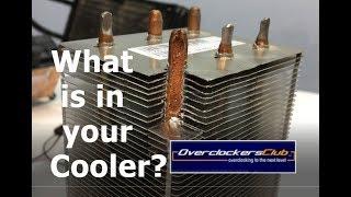 What's inside your cooler?