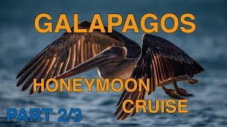 Galápagos Honeymoon: Sombrero Chino, Rábida, Puerto Egas, Santiago, Seymour, Baltra (Part 2/3)