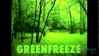 The History of Greenpeace: Environmental Activists