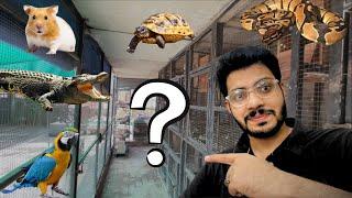 Favourite Animal araha | Polar parrot fish ka tank set krdia