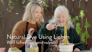 How to Make a Natural Dye Using Lichens