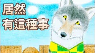 【 佳佳老師說故事 】EP104《 居然有這種事! 》｜兒童故事繪本｜幼兒睡前故事