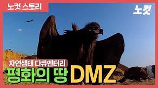 [노컷TV]평화의 땅 DMZ 자연 생태 다큐 "DMZ 60년, 이제는 생명이다"